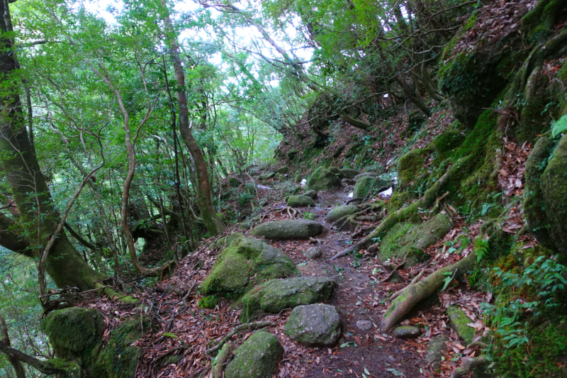 image0112
