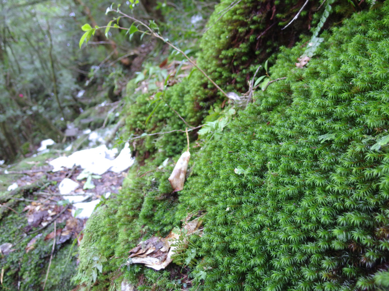 image0113