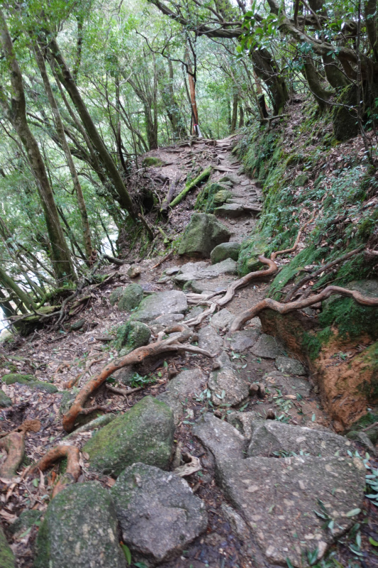 image0116