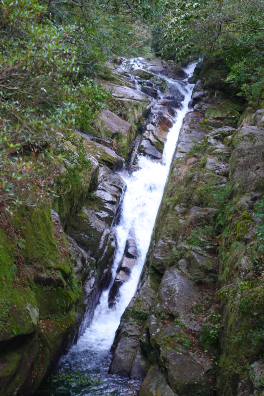 image0118