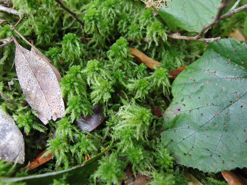 image0119