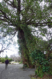 image0004