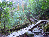 image0012