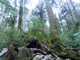image0013