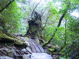 image0015