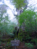 image0016
