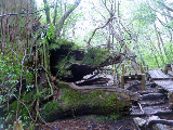 image0017