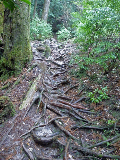 image0021
