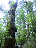 image0022