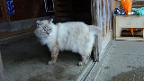 image0025