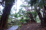 image0034