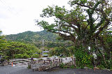 image0040