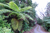 image0061