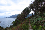 image0075
