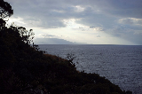 image0077