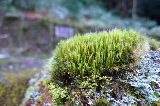 image0102
