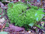 image0104