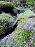 image0110