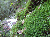 image0113