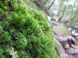 image0114