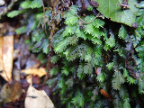 image0115