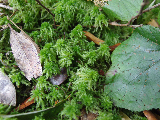 image0119