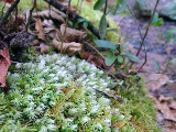 image0122