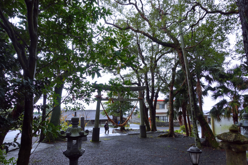 image0005