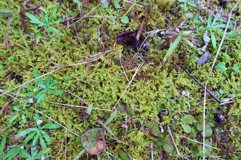 image0012