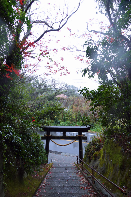 image0020