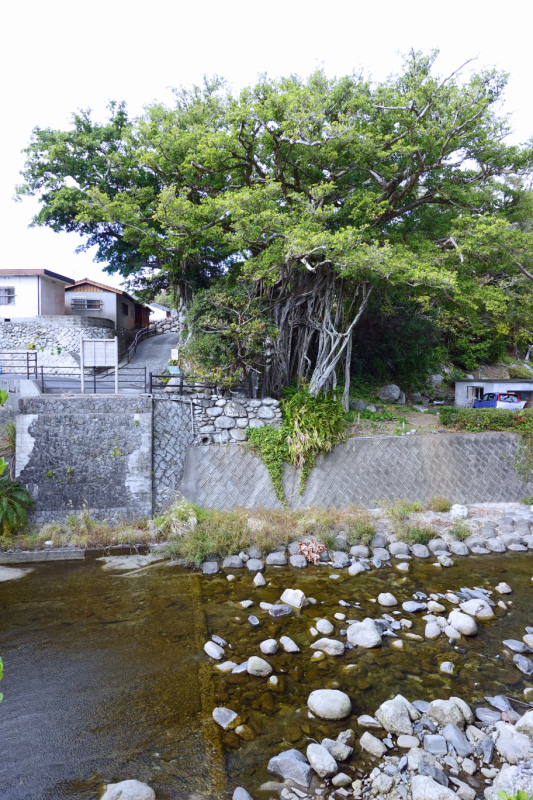 image0038