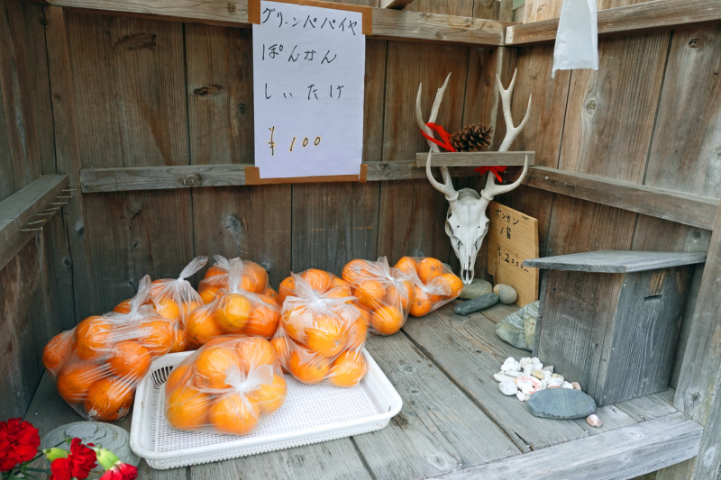 image0044