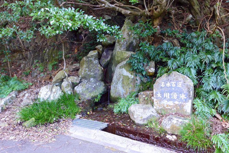 image0046