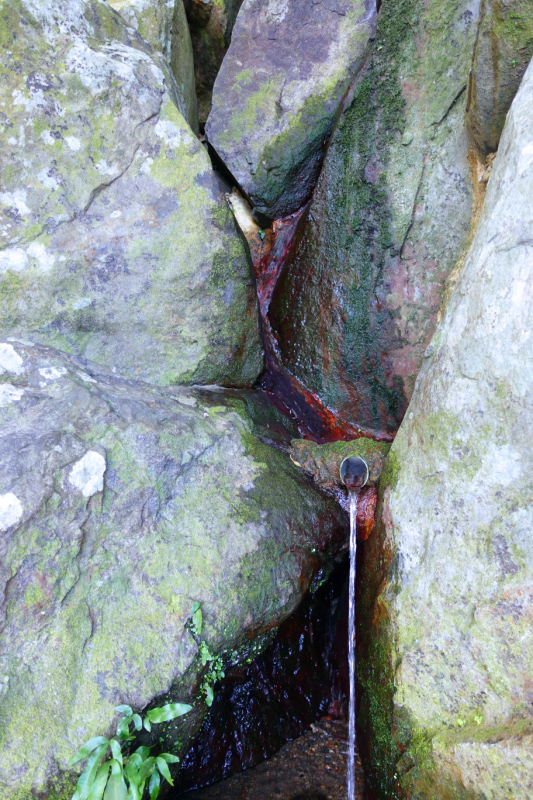 image0047