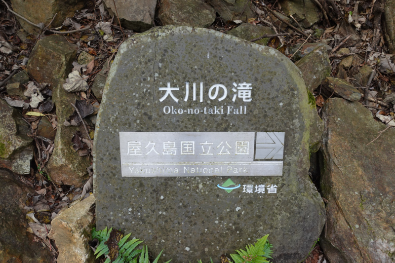 image0050