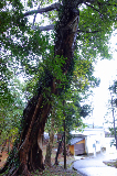 image0004