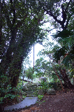image0009