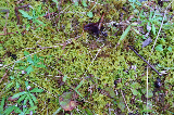 image0012