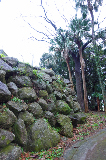 image0013