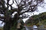 image0017