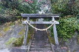 image0019