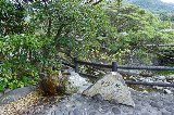 image0030