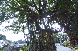 image0033