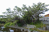 image0036