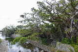 image0037
