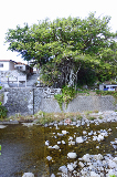 image0038