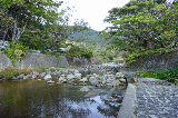 image0039