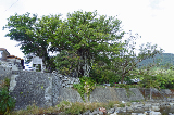 image0041