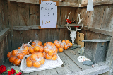 image0044