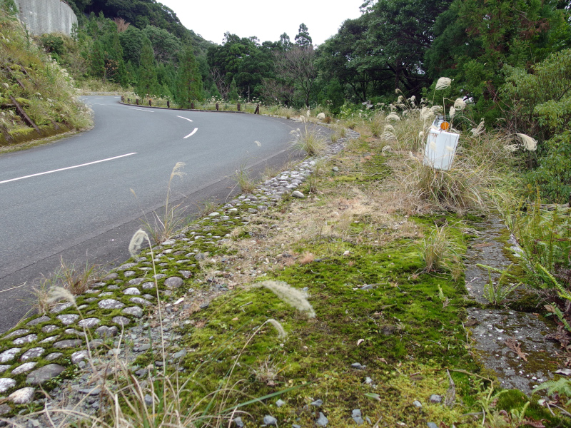 image0003